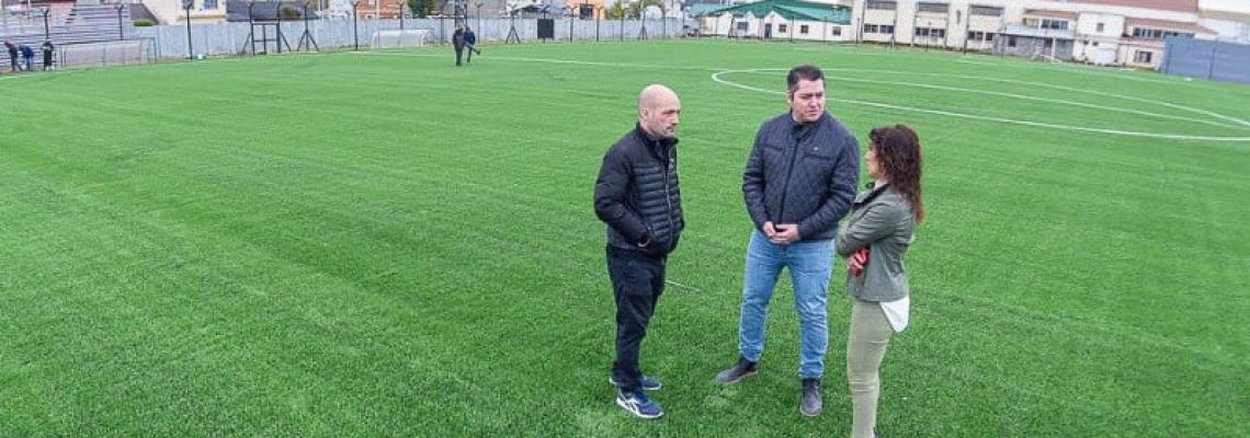 cancha cesped