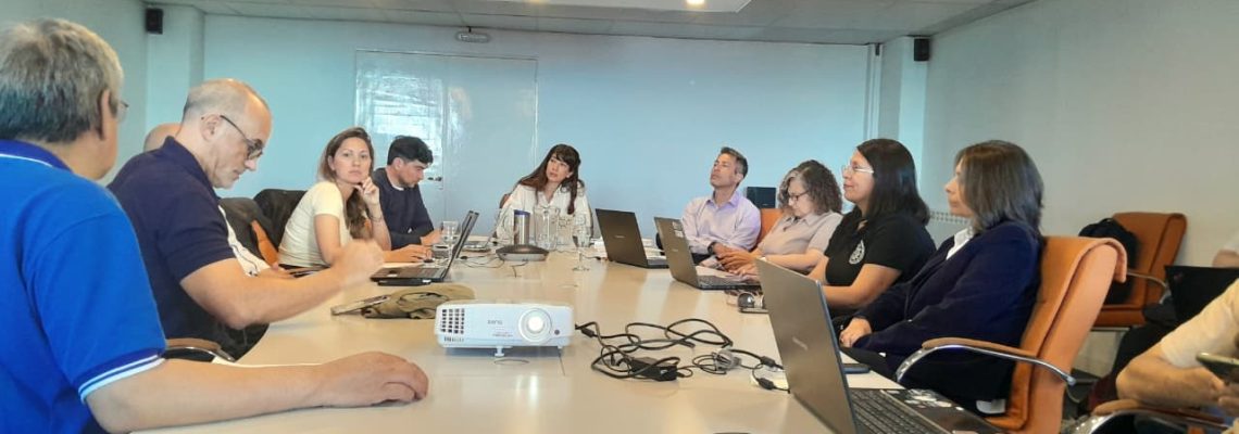 comision para area aduanera