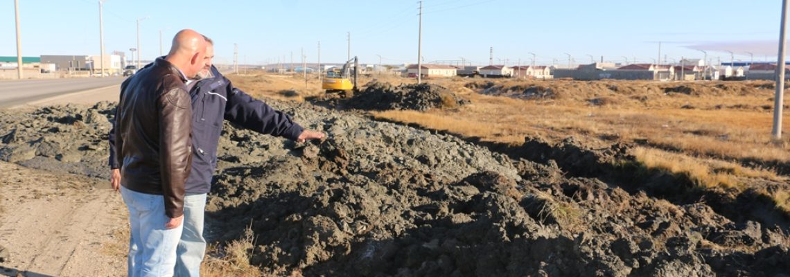 IMG_9539