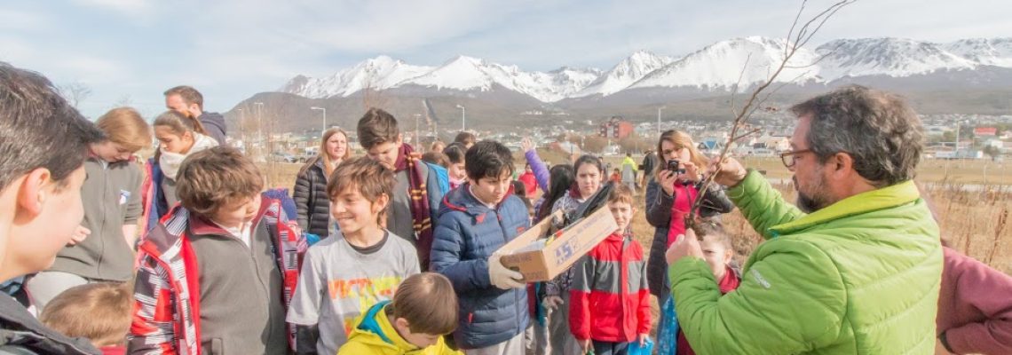 MG_ Reforestando Bahia encerrada (6)