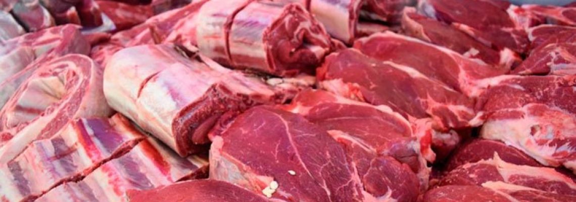 carnes
