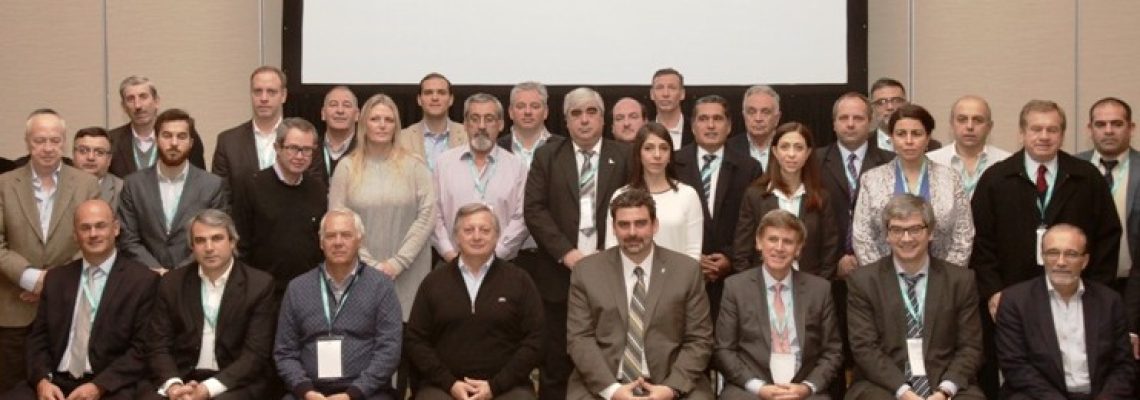 consejo federal energia