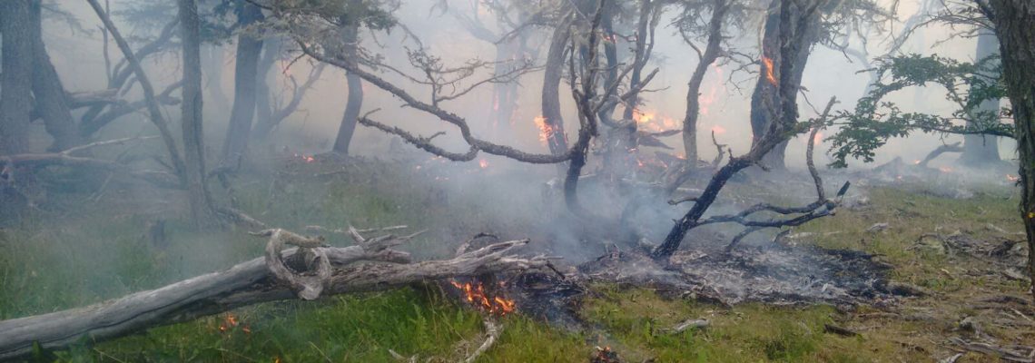 forestal incendio1