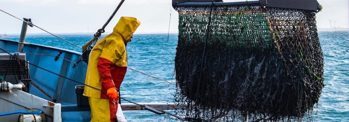 pesca